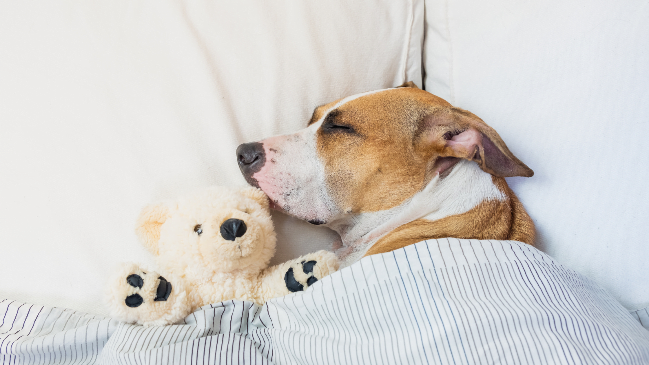 does sleep affect your digestion?