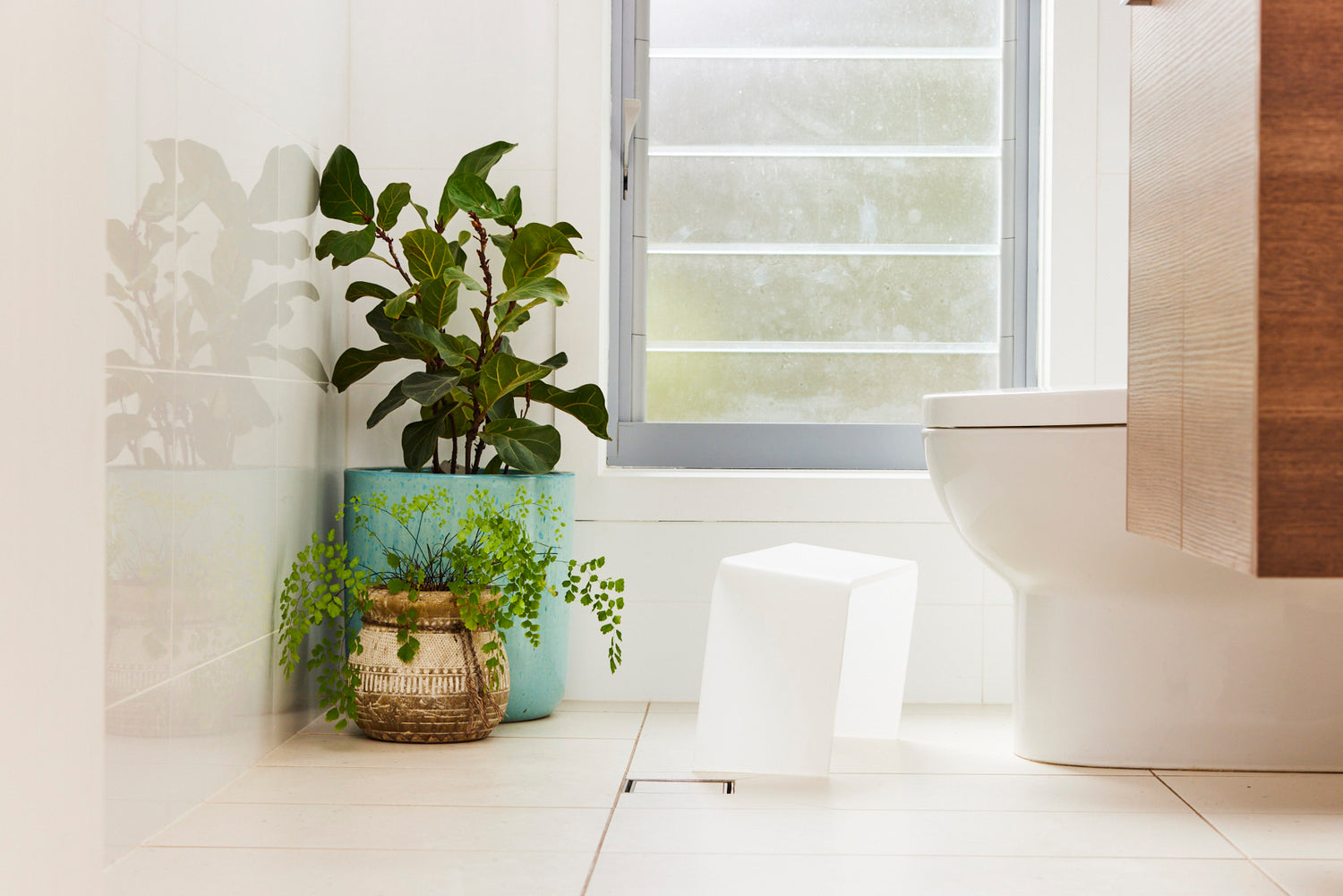 Gut Health Guide – PROPPR | Award Winning Toilet Foot Stool