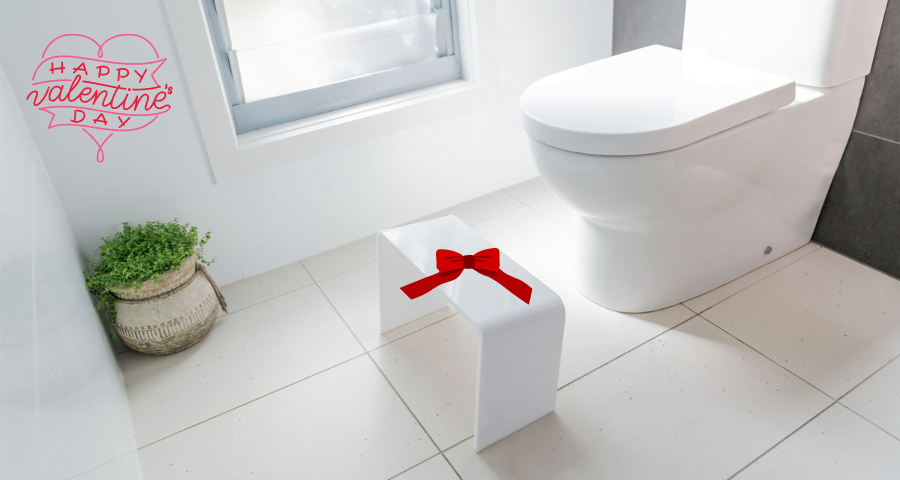 Give the Gift of Good Gut Health this Valentine's Day – PROPPR | Award ...
